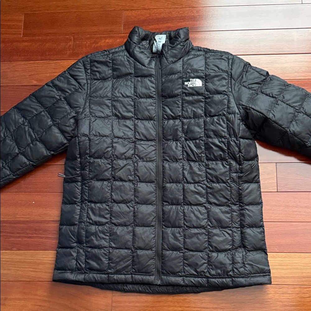 The North Face men’s  Black Quilted Packable Puffer Jacket